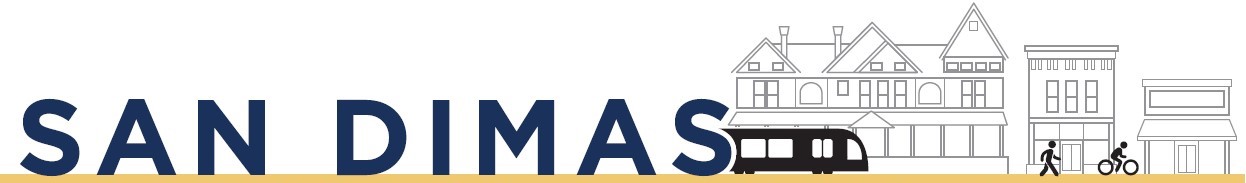 Horizontal Logo DTSP (002)